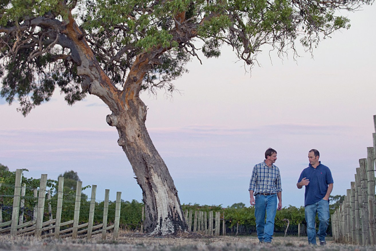 Leconfield winemakers Paul Gordon and Tim Bailey. 
