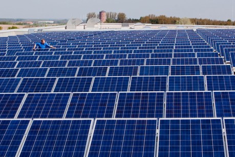 “World’s biggest”: $1 billion solar farm for Riverland