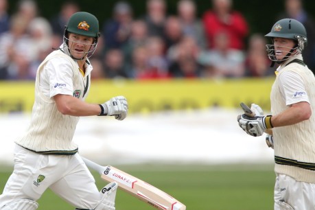 Shane Watson finds Ashes comfort