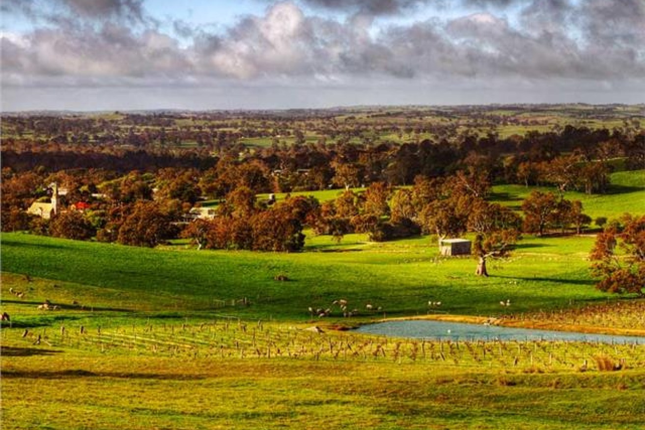 Eden Valley, home to great wines and mysterious mega punters
