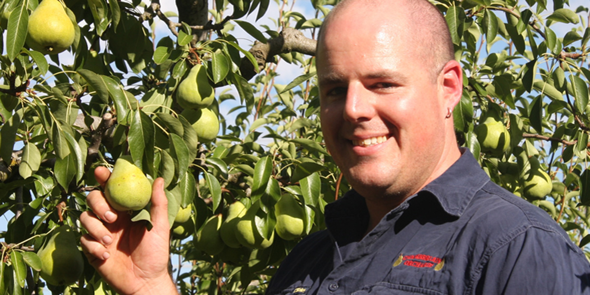 Damian McArdle at his family's Paracombe orchard.