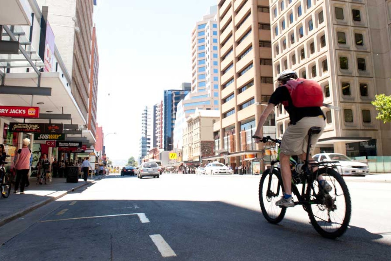 A cyclist in Adelaide. Photo: Nat Rogers / InDaily