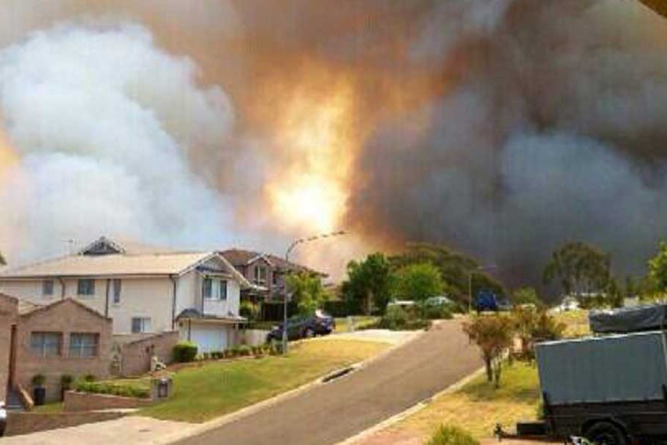 A bushfire burning on Stapylton Street in Springwood in the Blue Mountains on the weekend.