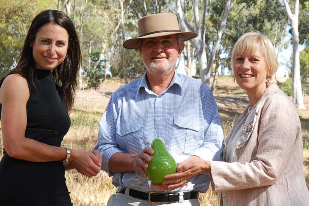 Brand South Australia CEO Karen Raffen (left), Professor John Halsey and Flinders Marketing and Communications Director, Ms Diane Ranck, with one of the awards.