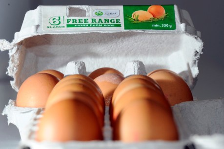 Egg decision a lesson for business