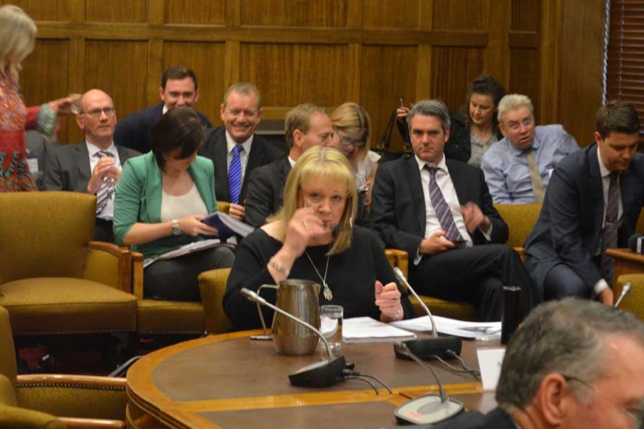 Anne Kibble appearing before the upper house committee this morning.