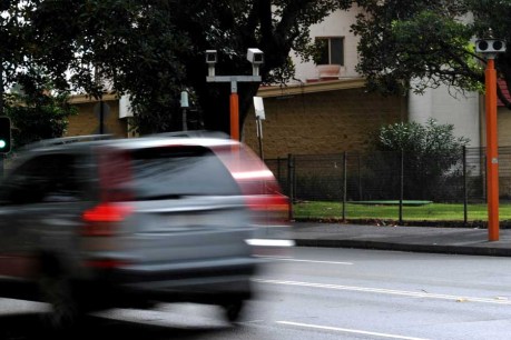 Mobile phone, seatbelt cameras closer for SA roads