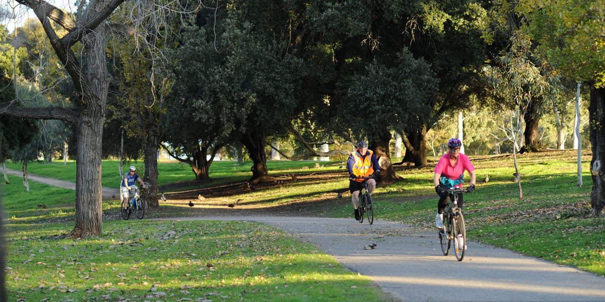 Cyclists in the park lands. Photo: Nat Rogers/InDaily