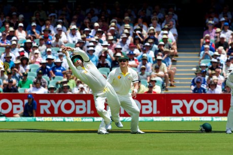 Aussies to win in three days: Hogg