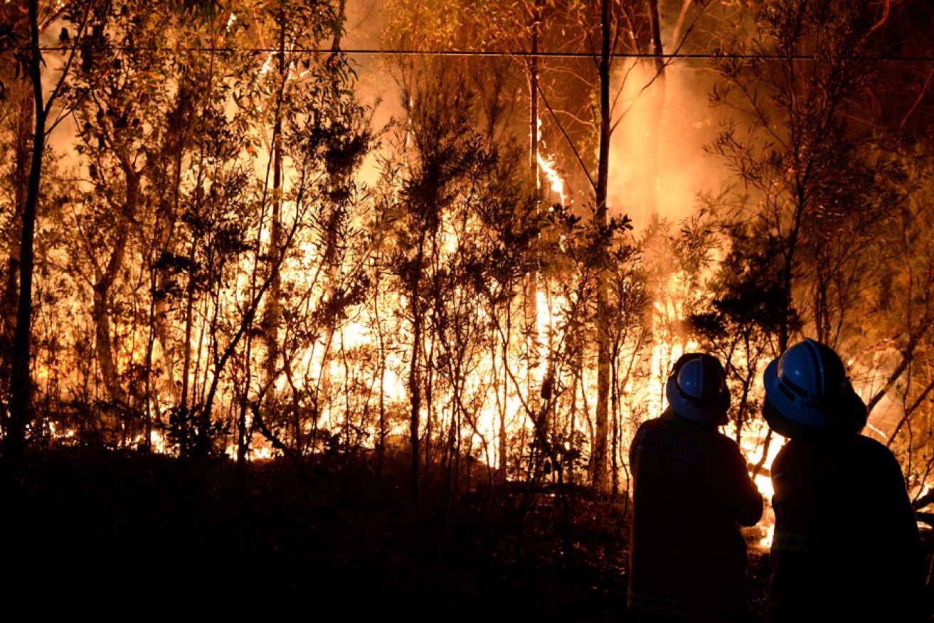 Big Data innovations include software to predict bushfire risk.