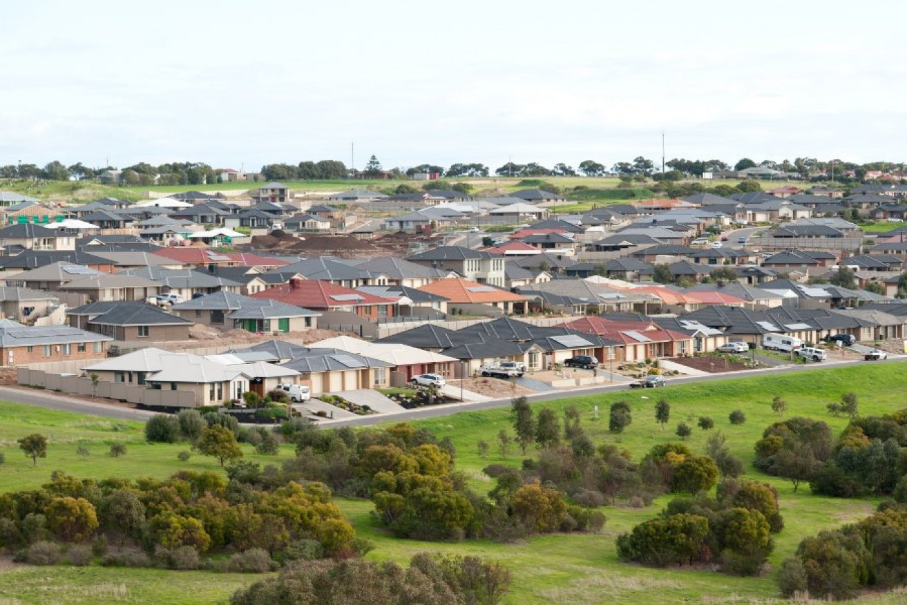 What shape do we want our suburbs to take? Photo: Nat Rogers / InDaily
