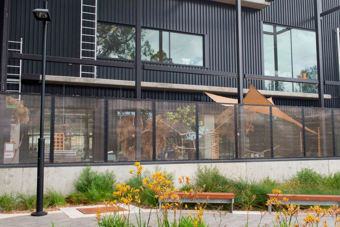The Biology Discovery Centre at Flinders University
