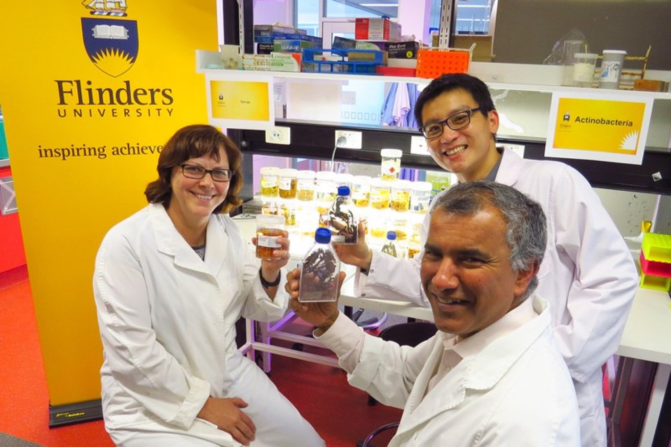 Medical biotechnologists Dr Barbara Sanderson and Professor Chris Franco (front) with Mr Raymond Tham, Manager, Centre for Marine Bioproducts Development. (Picture by Peng Su, CMBDP)
