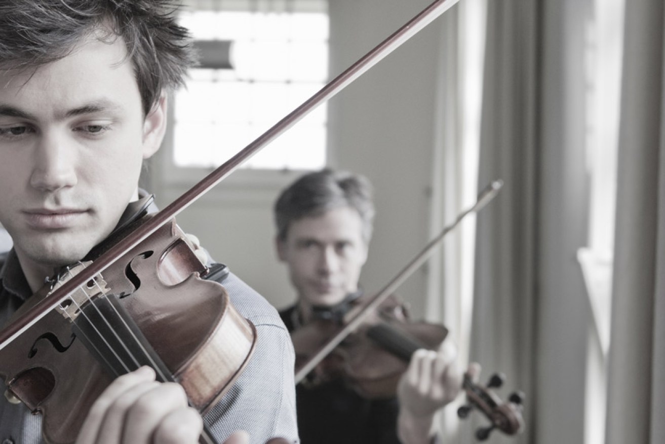 Members of the Australian String Quartet. Photo: Jacqui Way