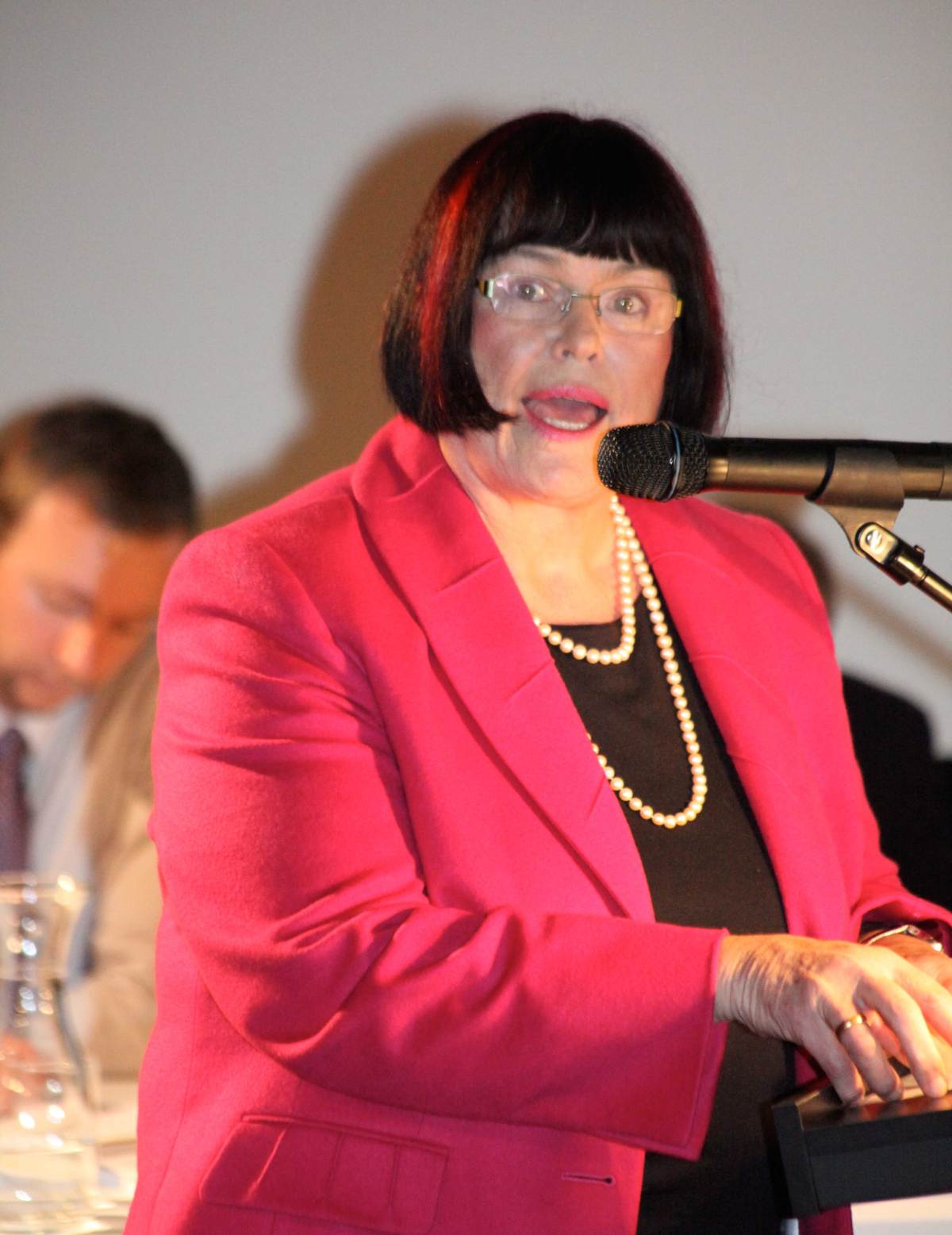 Mayor Anne Ferguson speaking out against evil development at a public meeting in 2010.