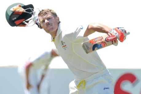Warner, Williamson climb ICC rankings