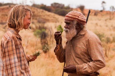 Films shine new light on outback