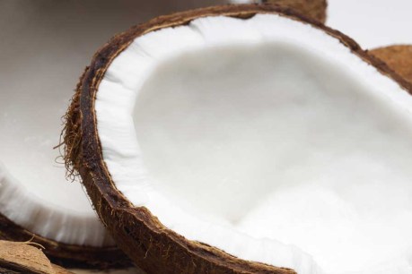 Coconuts: superfood or super fad?