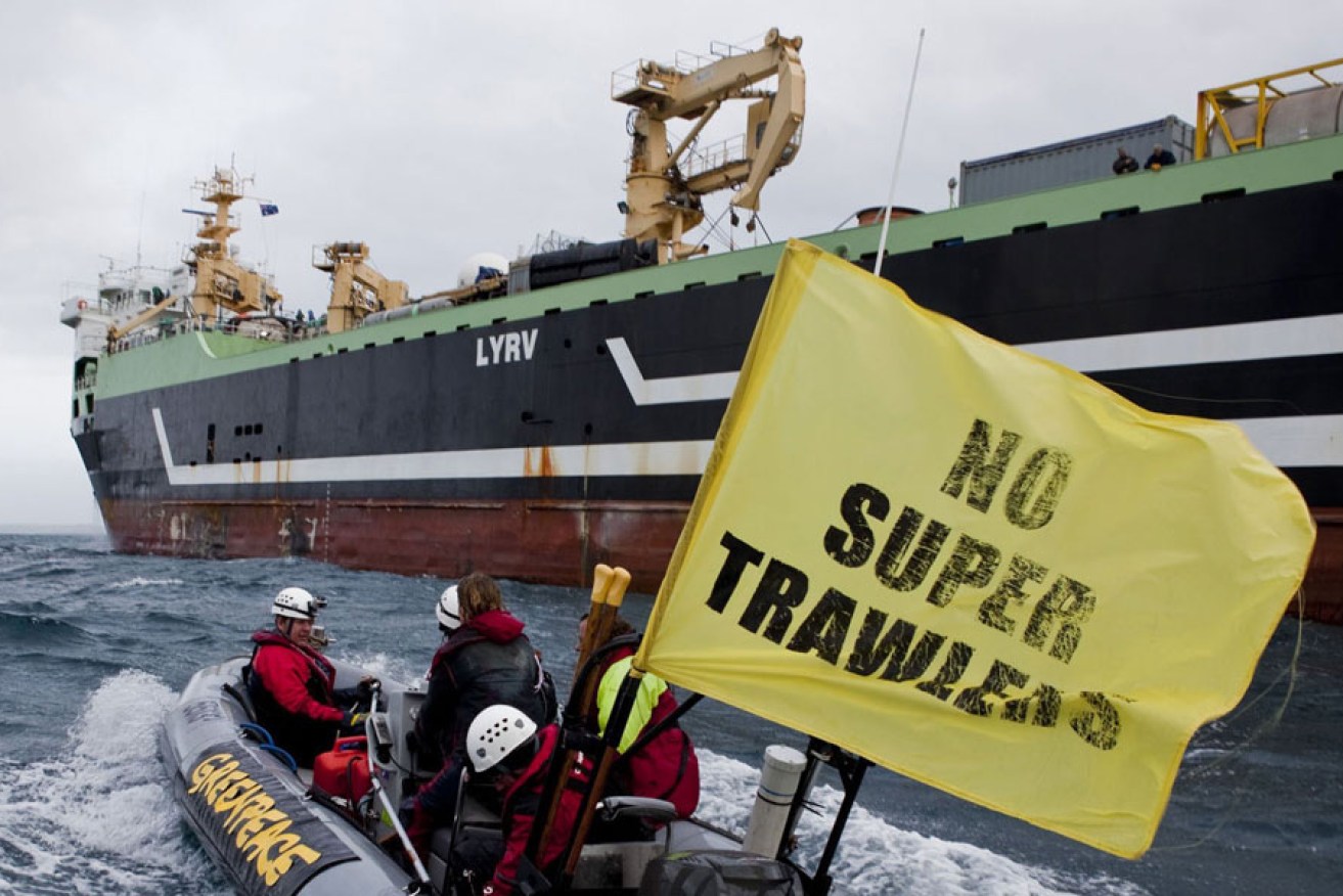 Greenpeace activists attempt to stop the FV Margiris - the world's second largest factory fishing trawler - from entering Port Lincoln's harbour in 2012.