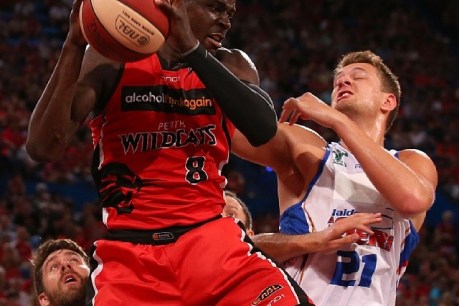 Adelaide 36ers: all you need to know