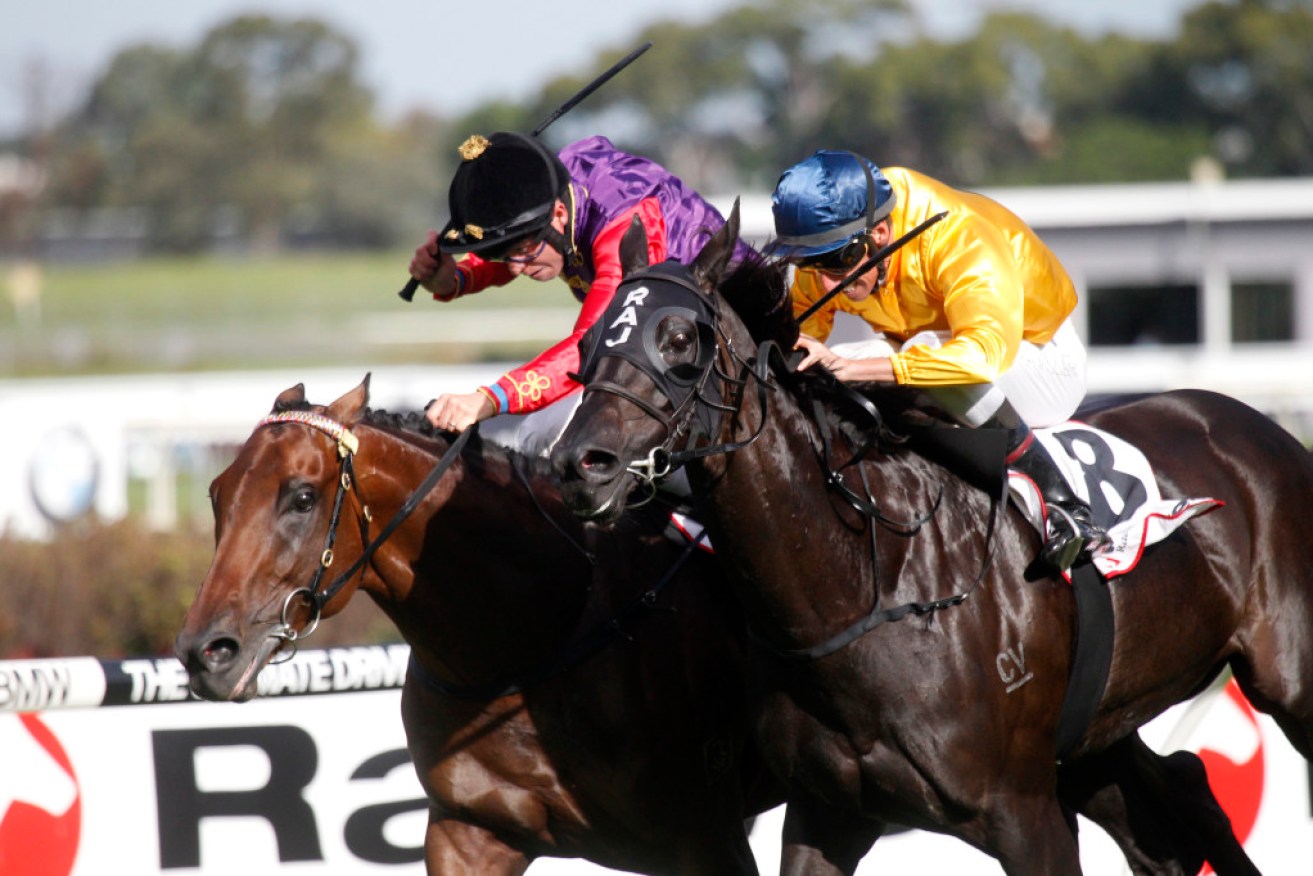 Silent Achiever (yellow) edges out Carlton House in the Coolmore Classic