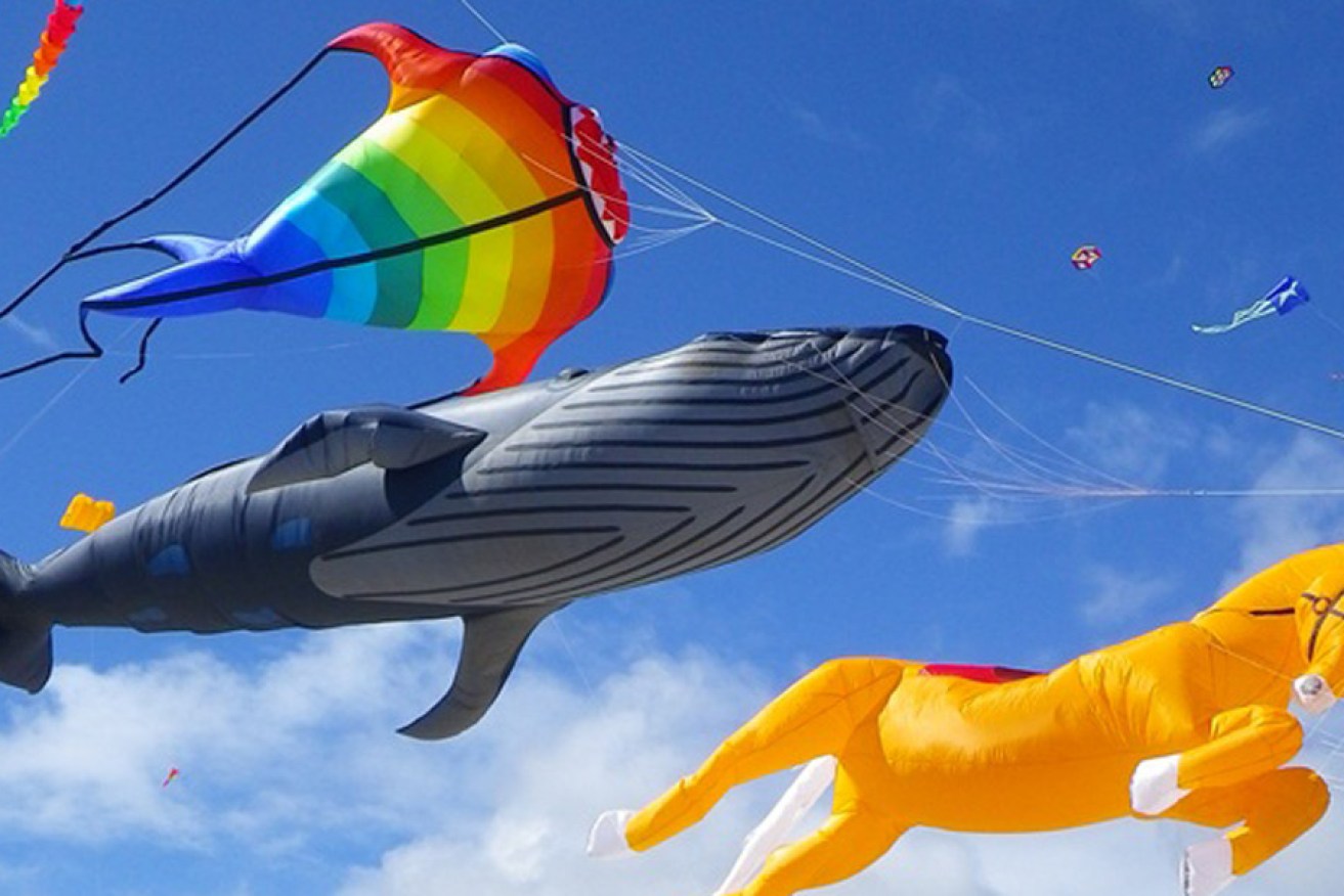 A flying circus. Photo: Adelaide International Kite Festival website