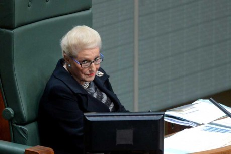 Bronwyn Bishop criticised for recontesting seat