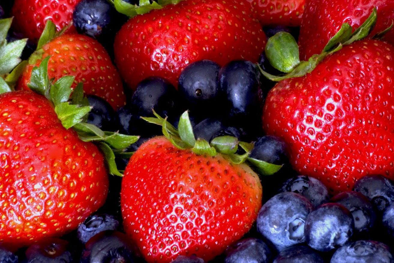 Large proportions of berry harvests are frozen to allow maximum use of the crop. 