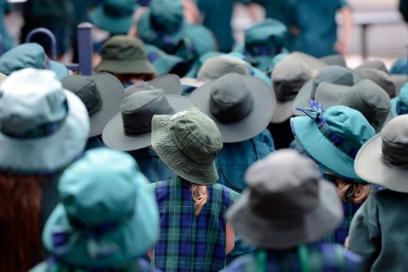 NAPLAN: more about schools than students