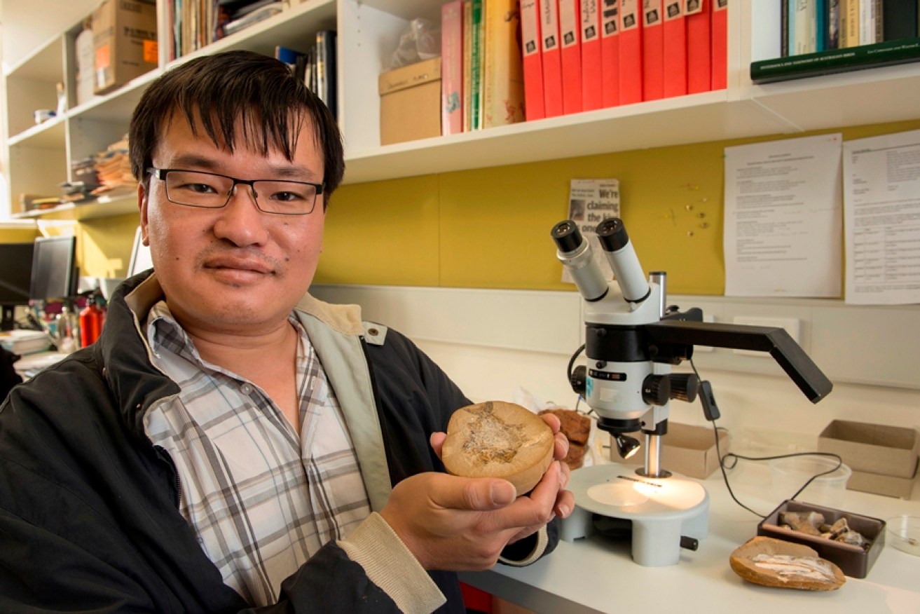 Flinders palaeontologist Dr Brian Choo
