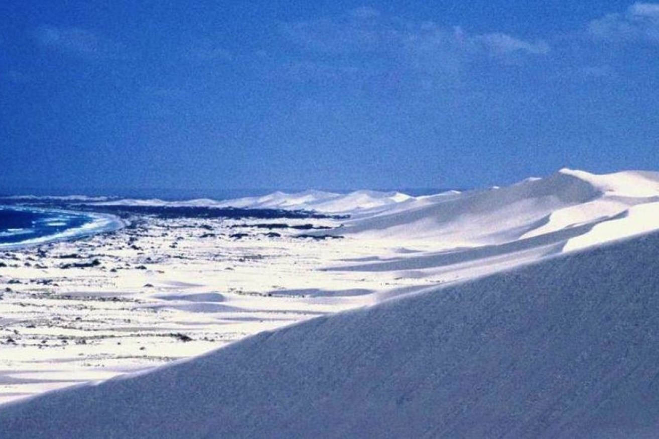 Dunes on SA's West Coast. Image by AD Short.