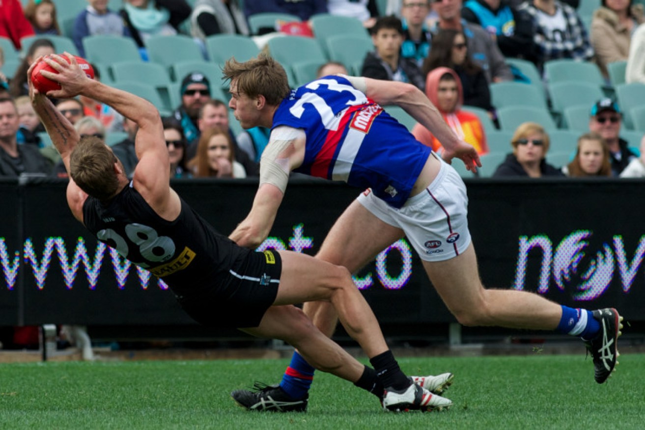 Schulz bagged eight to lead the Coleman Medal. Image by Michael Errey