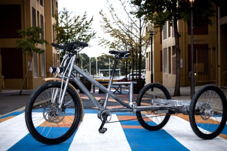 The treecycles are coming to Adelaide