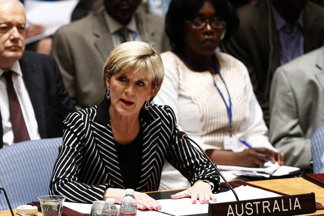 Foreign Minister Julie Bishop addresses the UN Security Council meeting. Photo: AAP