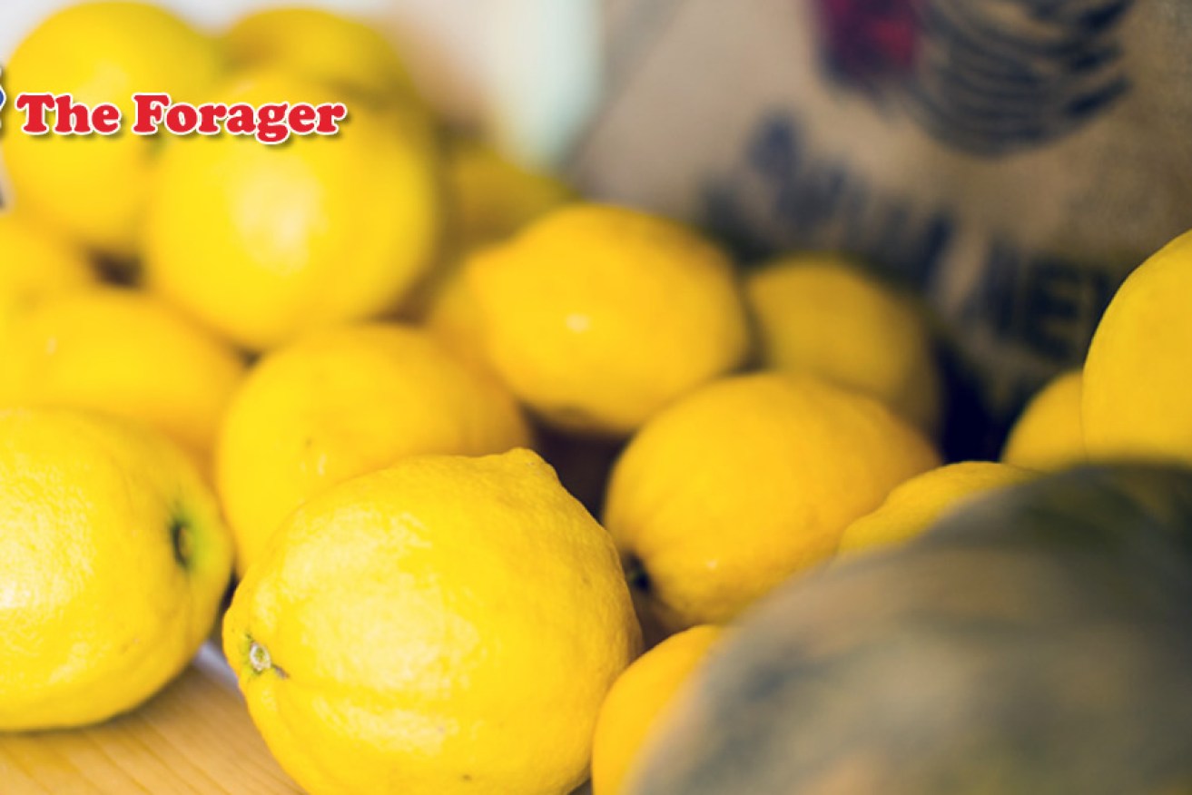 The Stranded Store has house-made lemonade made from Adelaide Hills lemons and fresh mint.