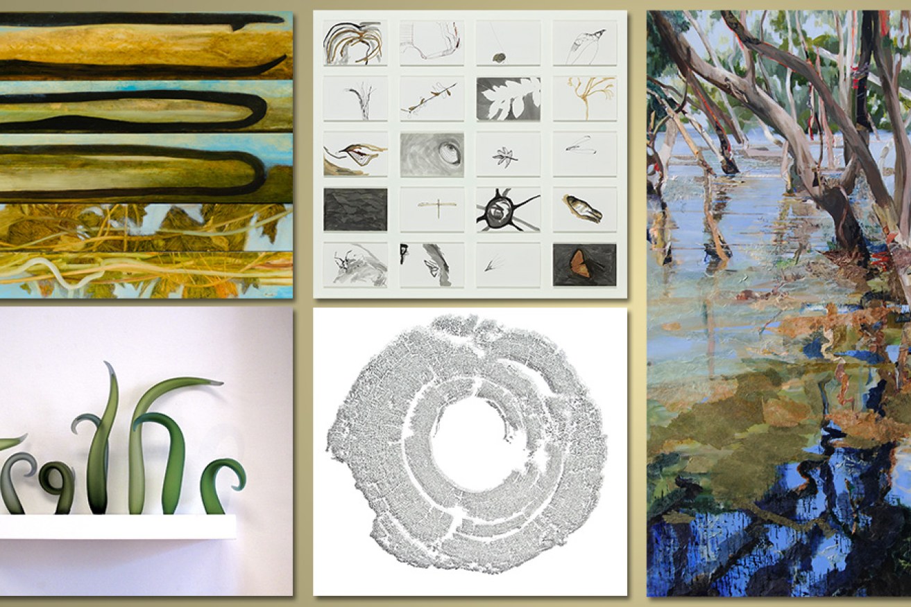 A collage of the 2014 Waterhouse Natural Science Art Prize winners.