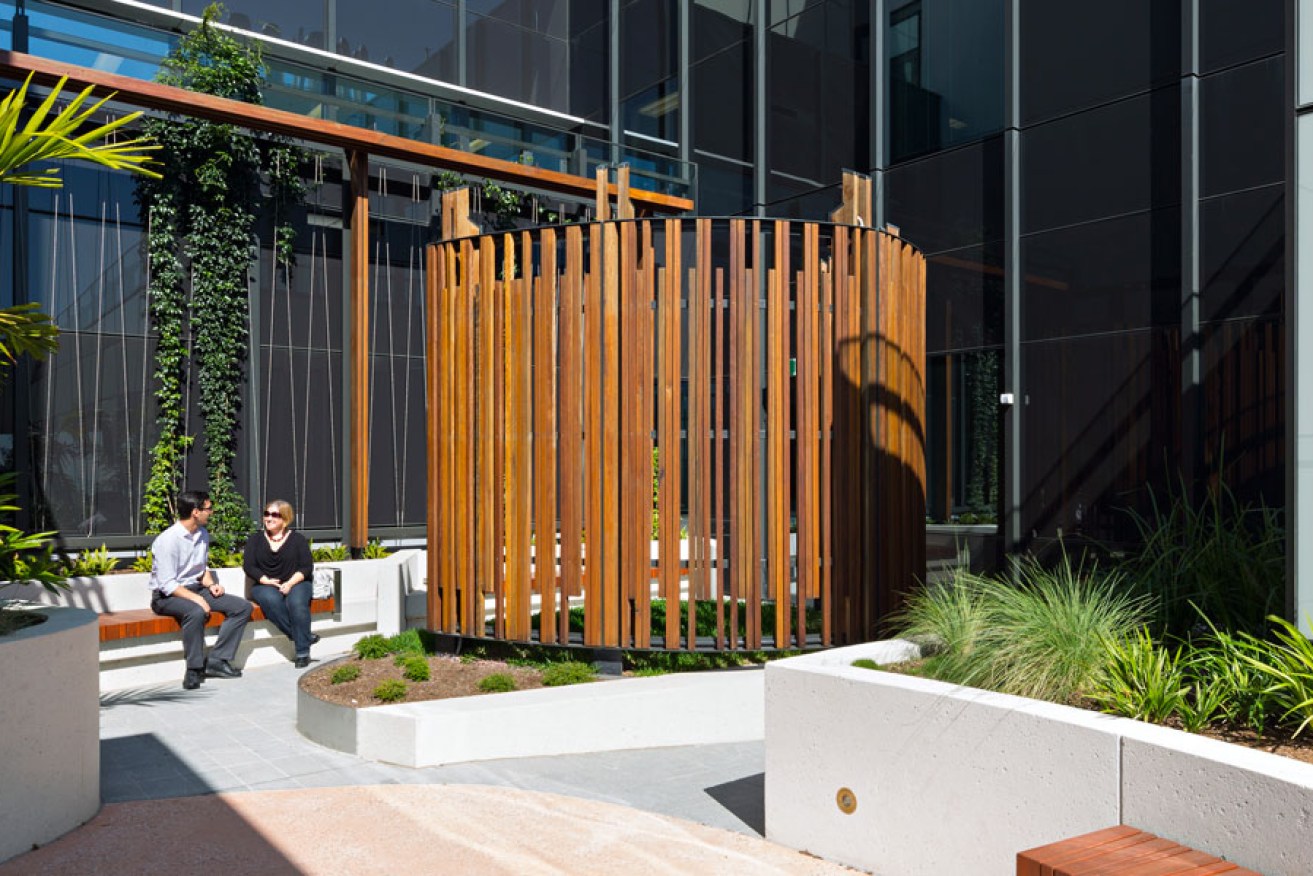 A courtyard at the Gold Coast University Hospital, designed by HASSELL, Silver Thomas Hanley and PDT. Photo: Christopher Frederick Jones
