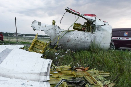 MH17 disaster: the key facts