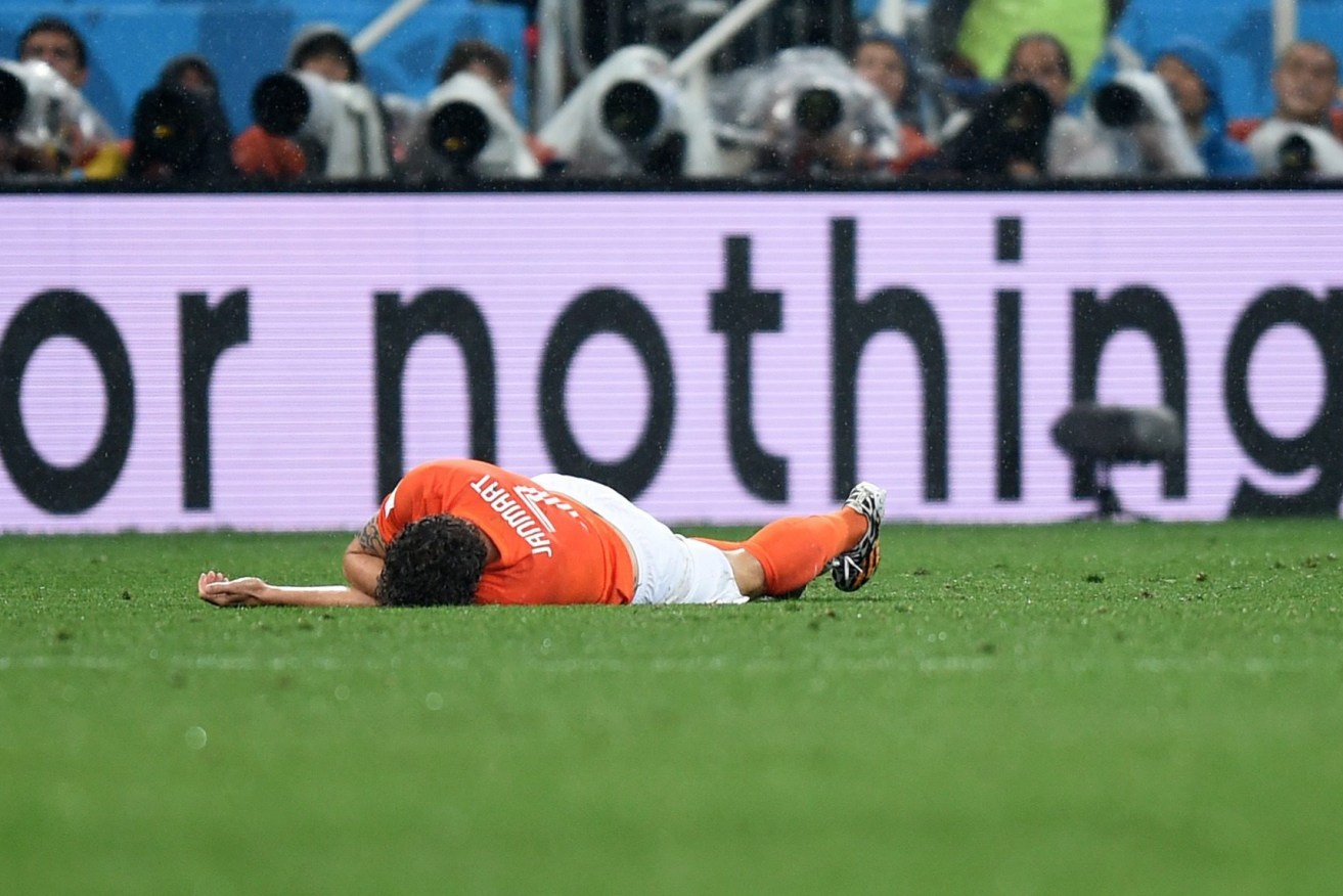 Writhing in unspeakable agony - another reason to hate the World Cup? EPA photo