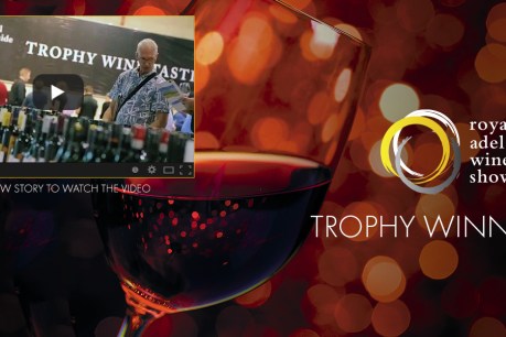 Paul Lapsley talks about Wine Show wins