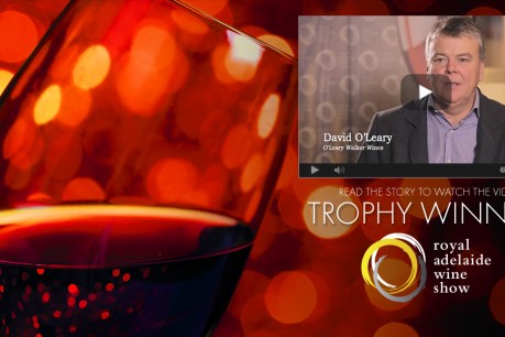 David O’Leary talks about Wine Show win