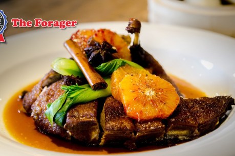 The Forager: Gorgeous food, Barossa Fino