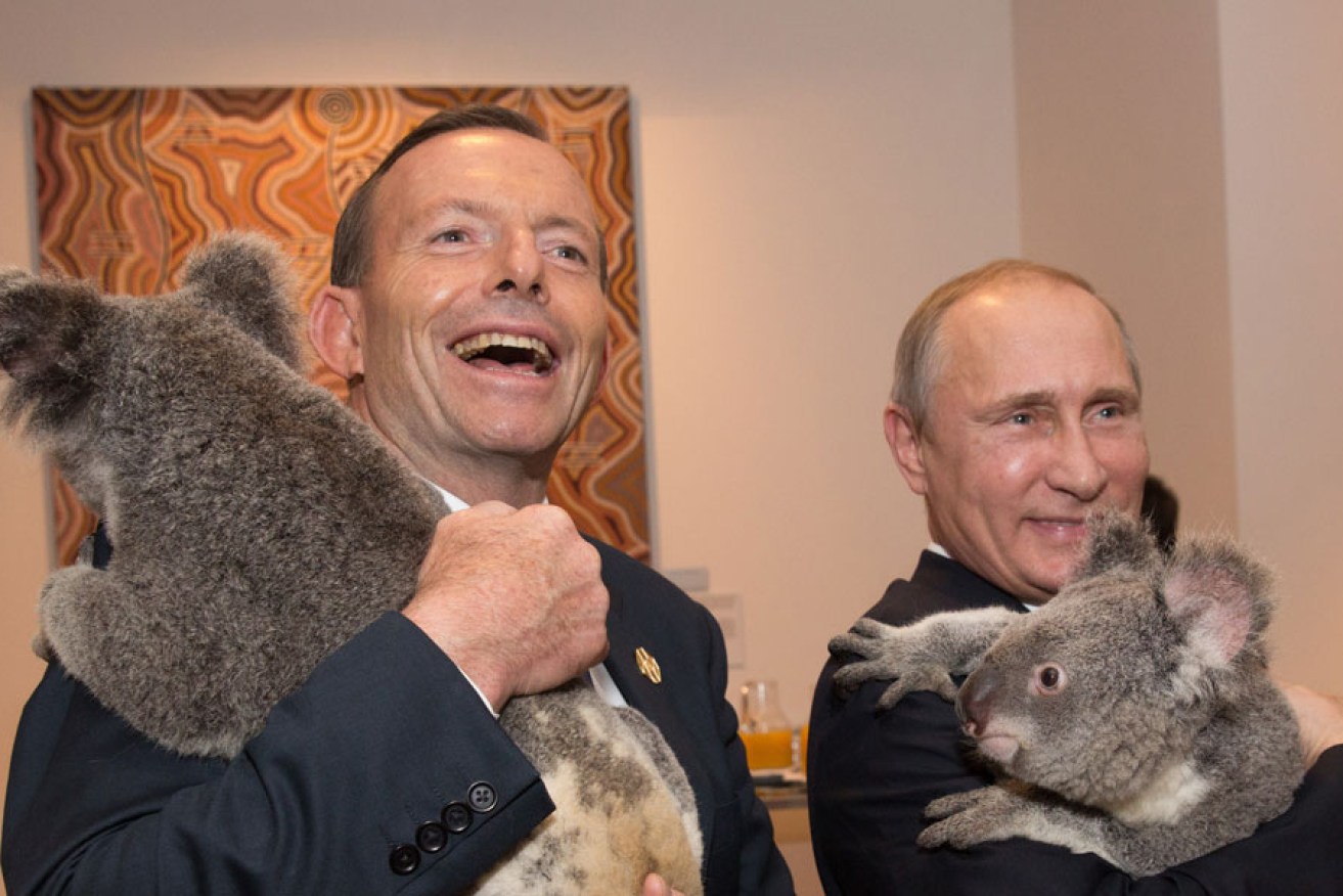 Tony Abbott and Russian President Vladimir Putin cuddle Koalas at the G20 summit in Brisbane.