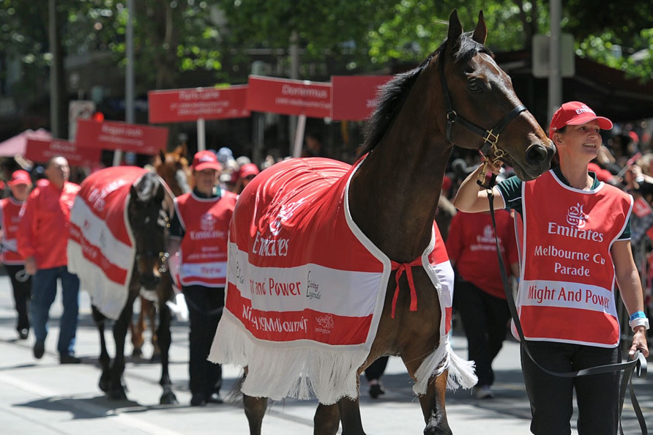 Might and Power, winner of the 1997 Melbourne Cup is walked down Swanston Street during the Melbourne Cup parade.