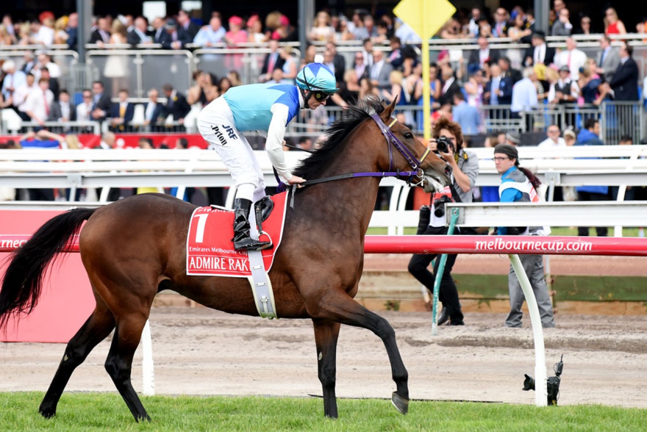 Admire Rakti finishes last in the Melbourne Cup. The Japanese stayer died shortly after.