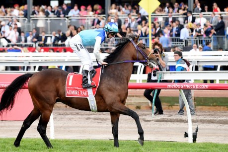 Sublime, ridiculous, tragic: Cup day 2014