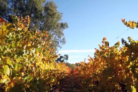 Clare Valley characters shine in new film