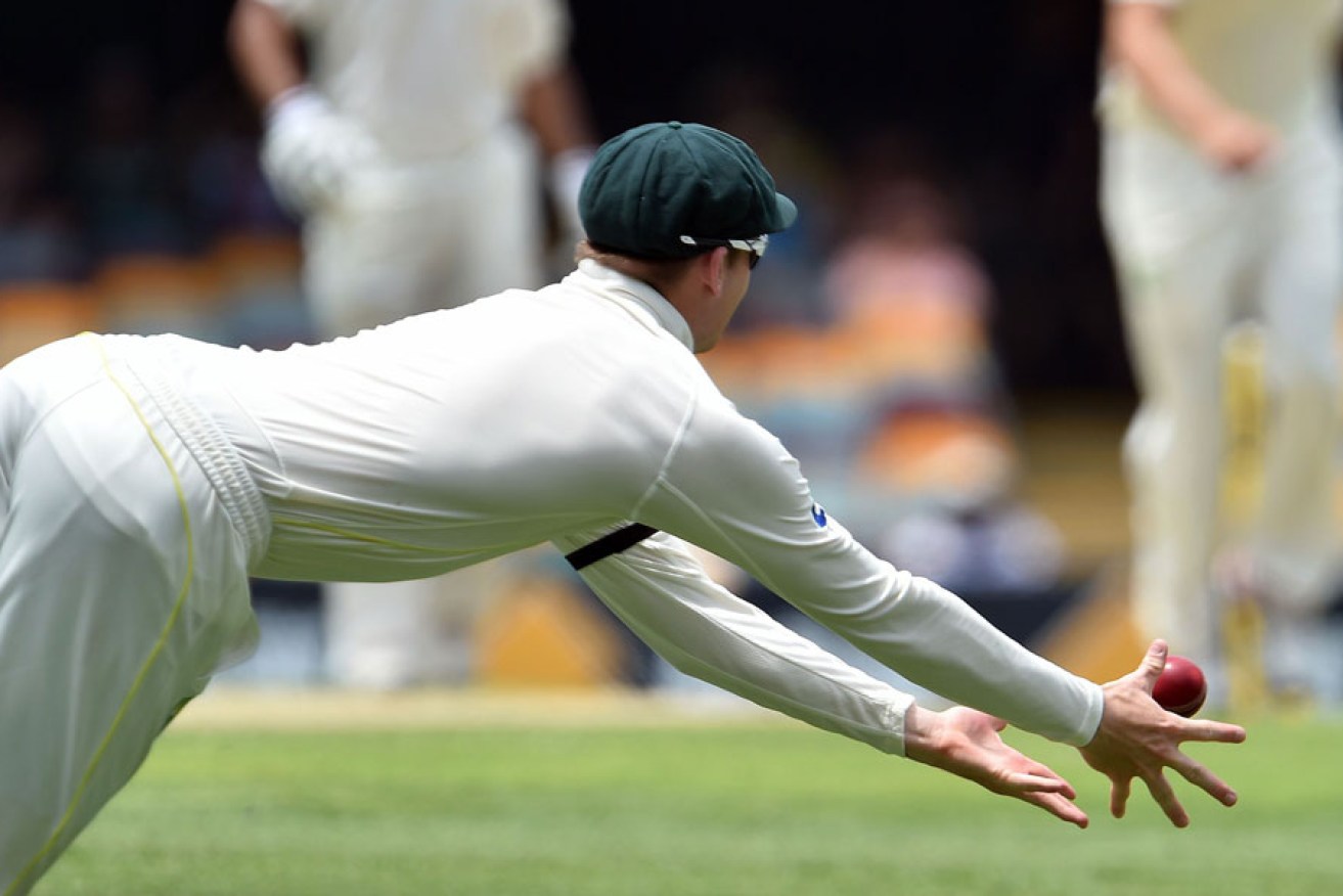 Steve Smith takes a catch during the second Test in Brisbane.