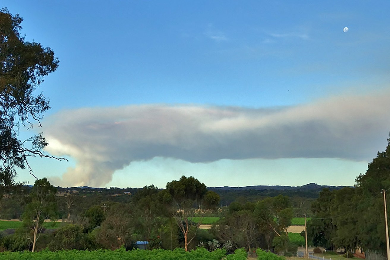 Smoke from the Adelaide bushfires, as seen from Kangarilla on Friday. Photo: Philip White