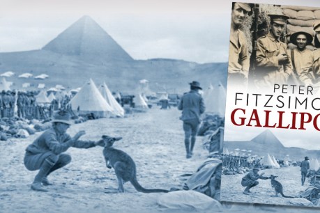 FitzSimons conveys the horror of Gallipoli